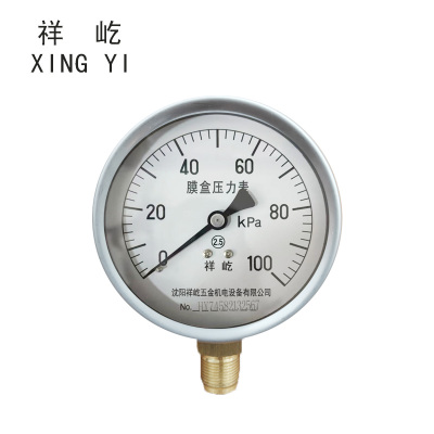 祥屹 膜盒压力表 YE100 0-100Kpa 块