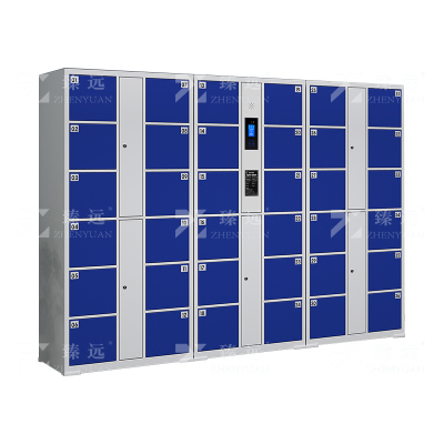 臻远 ZY-CBGC-23 电子存包柜 36门人脸识别款 长2550*宽460*高1800 单位:1个