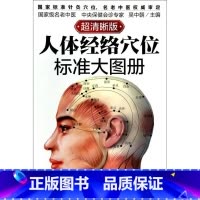 [正版]书店人体经络穴位标准大图册(超清晰版) 吴中朝著 中国医学中国轻工业出版社研究人员,普通成人