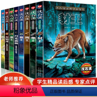 [正版]沈石溪动物小说阅读鉴赏精品读后感专家点评系列全8套小学语文暑期快乐阅读素养提升经典书目小学生课外书籍阅读故事读