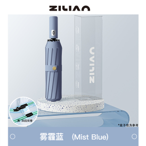 自动伞024