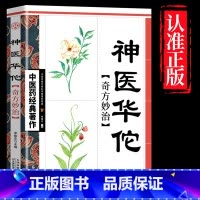 神医华佗 [正版]全4册中医书籍大全药王孙思邈+神医华佗+医祖扁鹊+医圣张仲景中医基础理论本草纲目黄帝内经中医四大名著中