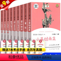 全9册 六年级上下册 人教版快乐读书吧 [正版]快乐读书吧人版六年级上册阅读课外书 童年 小英雄雨来 爱的教育 完整版小