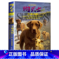 二部曲3:分崩离析 [正版]狗武士全套12册 狗武士首部曲二部曲外国经典动物小说作者艾琳亨特猫武士系列作品集小学生7-1