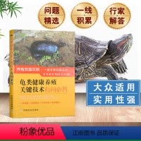 [正版]龟类健康养殖关键技术有问bi答 高效养龟鳖水产养殖书籍大全轻松掌握龟鳖健康养殖书大全 乌龟养殖书 养龟与疾病防