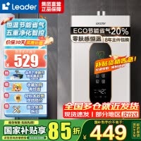 Leader 燃气热水器燃气天然气 恒温家用洗澡节能省气智能变升五重净化智控LY 12升[一厨一卫]