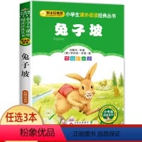 兔子坡 [正版]老师小布头奇遇记孙幼军著注音版一年级二年级三年级必读