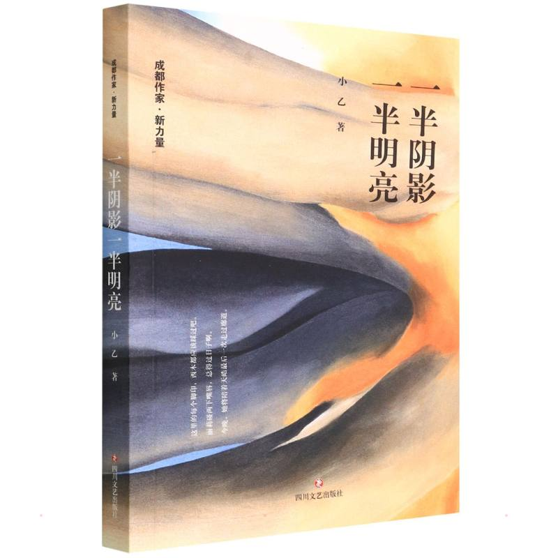 醉染图书一半阴影一半明亮9787541149689