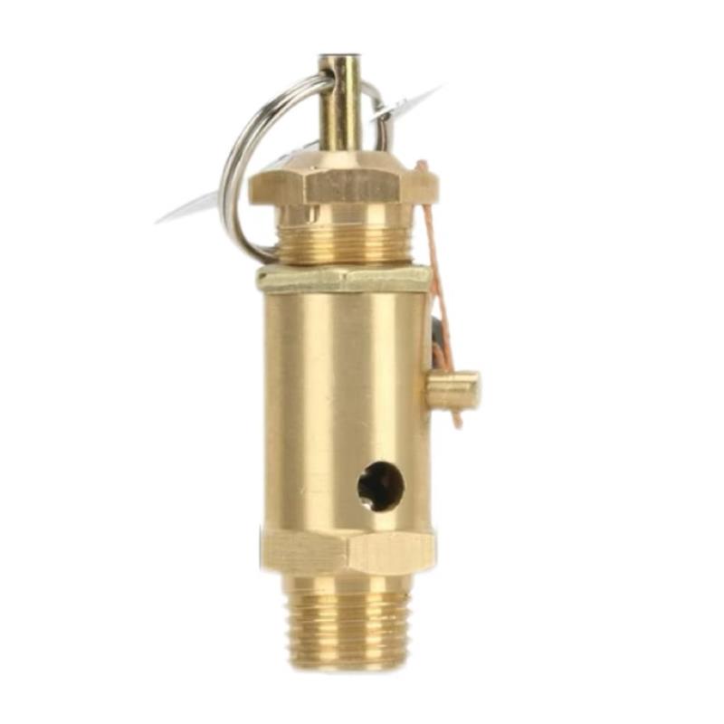 中锦科技 安全阀 A28X-16T弹簧式安全阀 DN8[2分]个