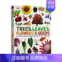 DK系列 植物王国的视觉百科 [正版]DK儿童艺术百科全书英文原版 Art A Children's Encyclope