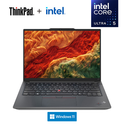 ThinkPad E14 34CD AI 2024 经典商务本 14英寸笔记本电脑 定制 英特尔酷睿Ultra 5 125H 16G 1T固态 锐炫Arc显卡 2.2K高色域 黑