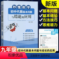 数学 [正版]秒懂数学初中代数基本问题与结论的应用九年级 9年级上下册数学新思维同步强化训练练习题 初三代数专项训练bi