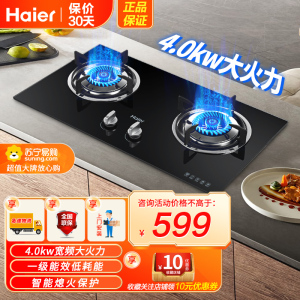 海尔(Haier)燃气灶JZY-Q235(20Y)台嵌两用式4.0KW宽频大火力智能熄火安防液化气灶具双灶 海尔厨房电器