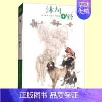 [正版]暑假阅读 沐风于野 格日勒其木格·黑鹤 儿童小说 绘画漫画连环画卡通故事三四年级阅读 中国儿童文学 小学生课外阅