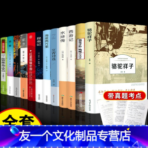 [友一个正版]初中生名著全套十二本 中学生课外阅读书籍朝花夕拾鲁迅七年级书海底两万里骆驼祥子12西游记原著简爱初一语文