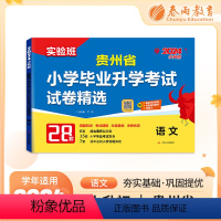 [正版]实验班小升初真题卷2024贵州省小学毕业升学考试试卷精选语文人教版六年级下册总复习必刷题2023年历年真题试卷