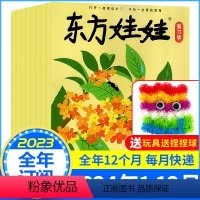 [全年订阅送玩具]智力版2024年1-12月 [正版]2023/2024全年订阅东方娃娃杂志绘本版+智力版2021/20