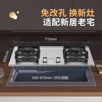 海信燃气灶家用DG32 5.2KW大火力天然气两用可调底座不锈钢