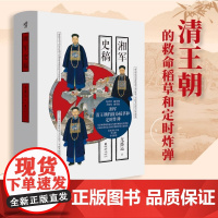 湘军史稿 华章大历史040龙盛运 著 何彦彦 编重庆出版社 剖析到位 读者阅后可以对晚清政局 湘军兴亡有较为完整认识