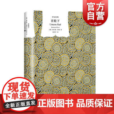 在轮下 黑塞自传色彩小说译文经典上海译文出版社教育制度欧美外国德国文学长篇小说书另著荒原狼曾获诺贝尔文学奖