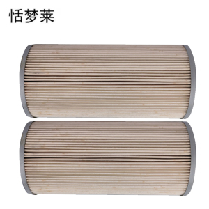 恬梦莱+除尘滤芯3266个