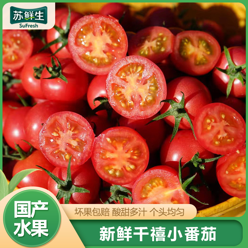 [苏鲜生]新鲜千禧小番茄 净重4.8斤 现摘番茄水果自然熟孕妇蔬菜西红柿
