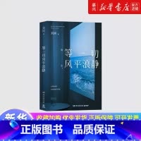 等一切风平浪静 [正版]书店 书籍等一切风平浪静 刘同2024年新书 十年蜕变之作谁的青春不迷茫励志