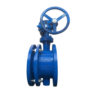 般德 法兰式伸缩蝶阀 DN300 台