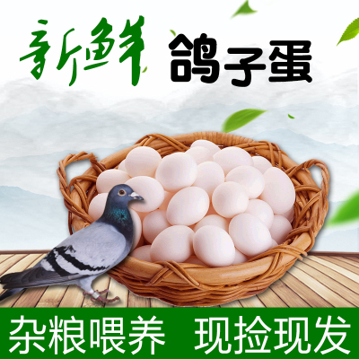 [西沛生鲜]鸽子蛋 30枚 单枚17-22g