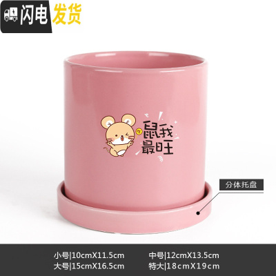 三维工匠鼠年本命年装饰创意中国红插银柳简约圆柱绿植多肉带托盘陶瓷花盆 鼠我最旺-亮光粉 小花盆容器