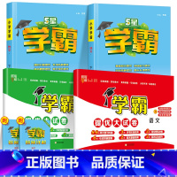 4本 [学霸作业本+提优大试卷]语文+数学(苏教版) 二年级下 [正版]2024春新经纶小学学霸提优大试卷一年级下册二四