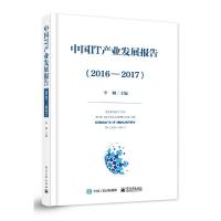 中国IT产业发展报告(2016-2017)