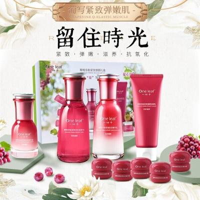 一叶子护肤品套装女葡萄多酚抗皱紧致塑颜9件套礼盒提拉紧致补水保湿细致毛孔抚平细纹送老婆送妈妈护肤礼盒