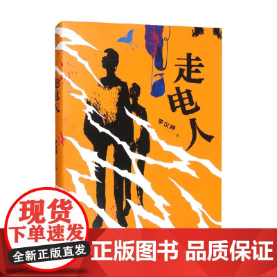 走电人 李仪婷 著 小说