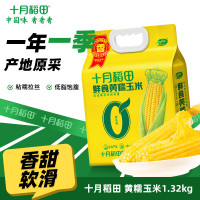 十月稻田鲜食黄糯玉米1.32kg(220gX6)东北玉米 鲜食黄糯玉米