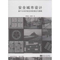 音像安全城市设计蔡凯臻,王建国