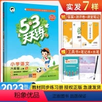 语文 六年级上 [正版]2023秋季 53天天练小学语文六年级上册人教版 6年级上学期语文同步练习册五三单元期末模拟测试
