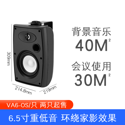 Hivi/惠威VA6-OS定阻壁挂音箱挂壁喇叭广播会议室背景音乐