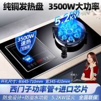[铜盘铜线]欢呼好太太气电灶电气两用一体燃气灶大火力台嵌两用九腔一电一气电磁炉3500W煤气灶液化气灶A020-2