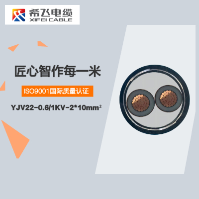 希飞牌 YJV22-0.6/1KV-2*10mm² 铜芯低压铠装电缆 元/米 联系客服 定制商品