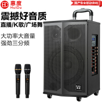 惠度(HuiDu)专业双数字直播OTG直播音箱立体环绕电视娱乐音响户外移动拉杆音箱
