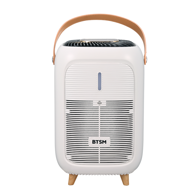 BTSM小型空气净化器家用除菌净化器多功能桌面去甲醛除烟味智能多档调节学生宿舍净化器 BM-JH01 白色 单位:台