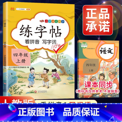 4上》练字帖 [正版]2023新版二年级下册同步练字帖三四五六年级一年级下册同步字帖人教版上册语文汉字生字本笔顺笔划拼音