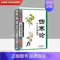 [正版]伤寒论 中医参考书籍 中医名著 临床理论养生中医药 经典著作 白话译文 医学卫生类图书 中医入门基础 生活保健