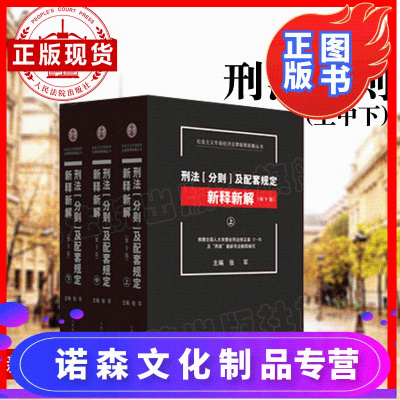 诺森文化-刑法分则及配套规定新释新解第九版张军主编刑法分则配套规定新释新解刑法修正案