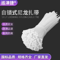 巡津捷自锁式尼龙扎带 理线带束线绑带2.5*120mm 100根/2.5*150mm 100根/包