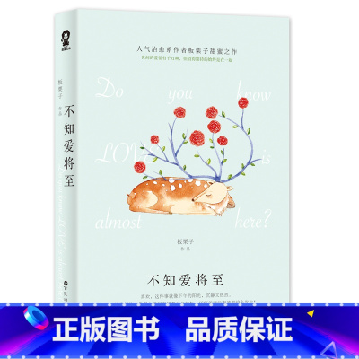 [正版]赠精美书签不知爱将至 板栗子人气治愈系作者甜蜜之作 网络原名逃婚奏鸣曲 青春校园言情都市爱情小说书籍 书排