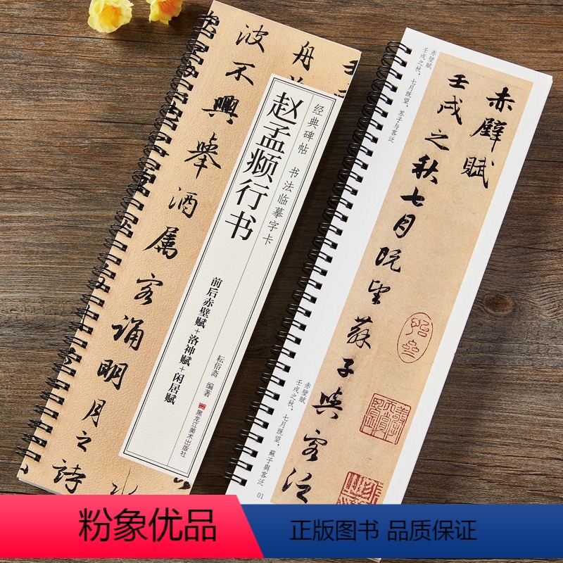 [正版]赵孟頫行书 前后赤壁赋洛神赋闲居赋三帖 行书毛笔书法字帖 赵孟頫赵体经典碑帖原大版附简体旁注近距离赵孟俯碑帖书
