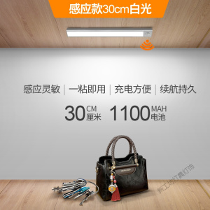 苏宁放心购 人体感应灯长条灯带充电式led无线厨房usb自动衣柜灯条磁吸橱柜灯