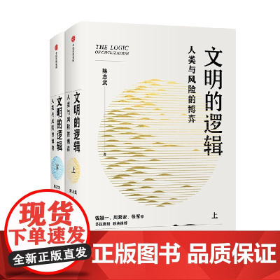 文明的逻辑 人类与风险的博弈 陈志武著 钱颖一 周黎安 张军 联袂 经济 历史发展 风险博弈
